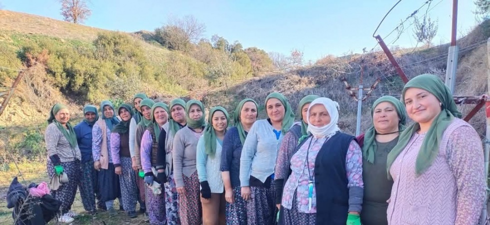 Kadınlar gününü üzüm bağında kutladılar