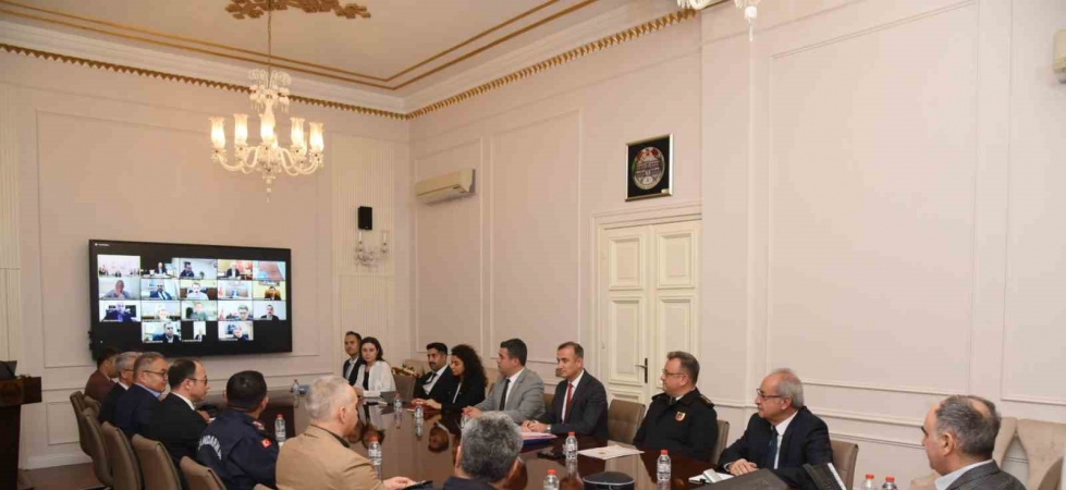 Sahipsiz hayvanlarla ilgili çalışmalar devam ediyor