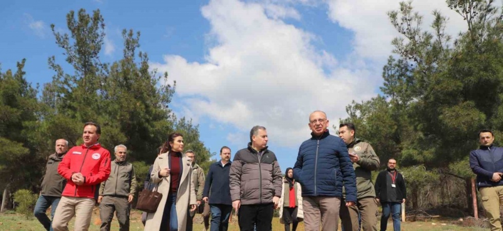 Sokak hayvanları için örnek proje