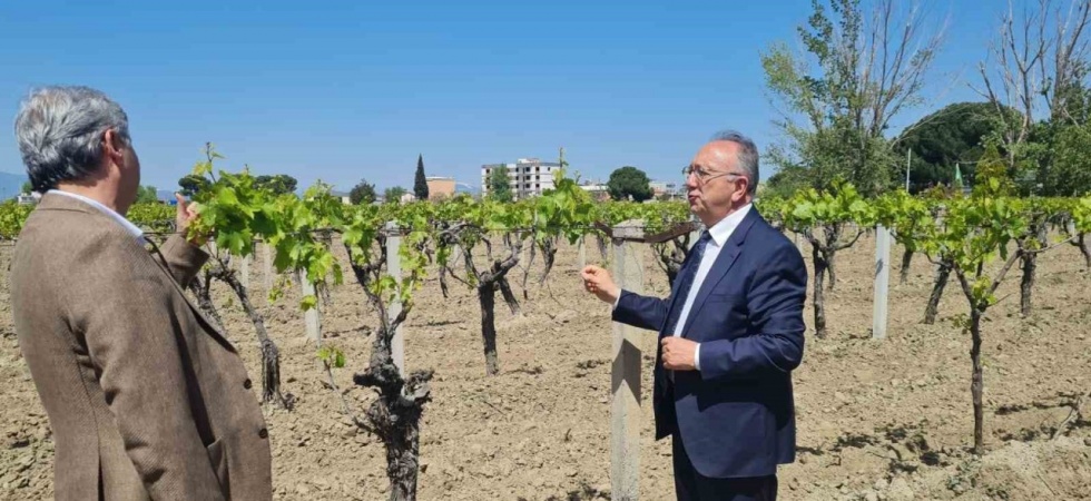 Büyükşehir’den don zararına uğrayan üreticilere destek