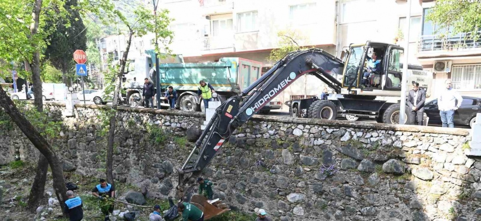 Çaybaşı Deresi hem temizlendi hem de yeni fidanlar dikildi