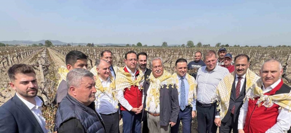 Don afetinden zarar gören üreticilerin yaptıkları masraflar karşılanacak