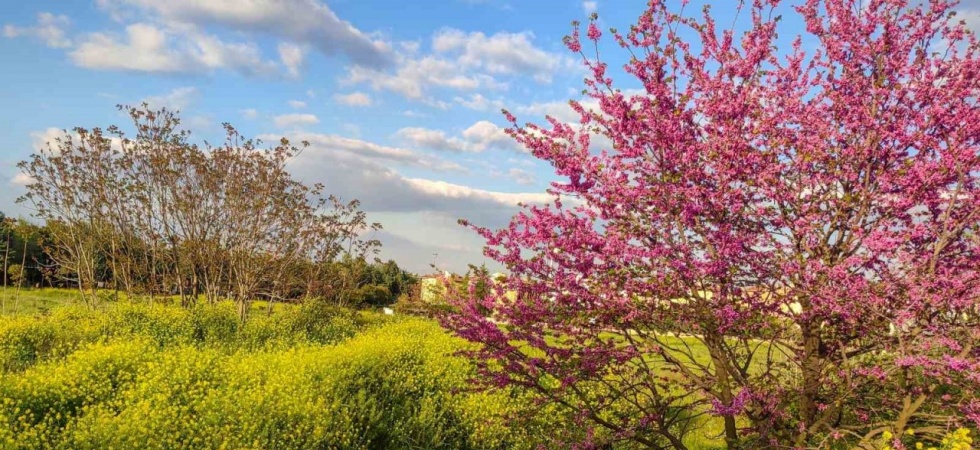 Güzelyurt’ta bahar güzelliği