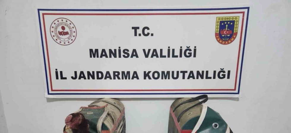 Horoz Dövüşüne suçüstü
