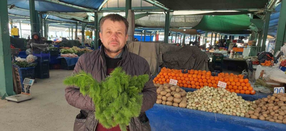 Kendiliğinden yetişen çaşır otu yok satıyor