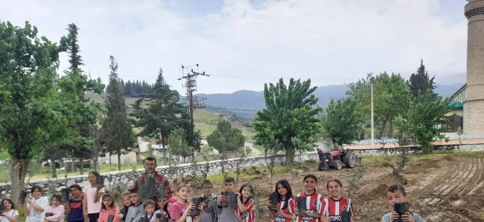 Minik eller okul bahçesine zeytin dikti