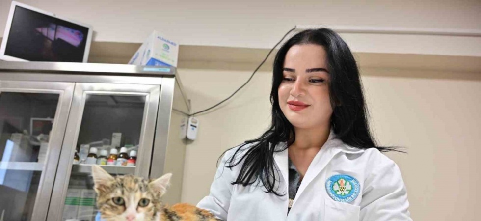 Minik Patiler Kliniği’nde kısırlaştırılan kedi sayısı 3 bini geçti