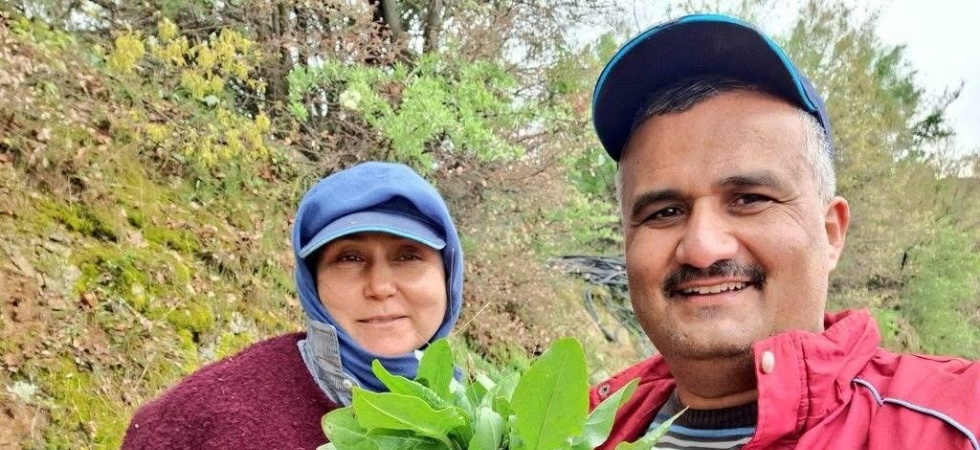 Sarıgöl’de kuzugöbeği ve acı ot mesaisi
