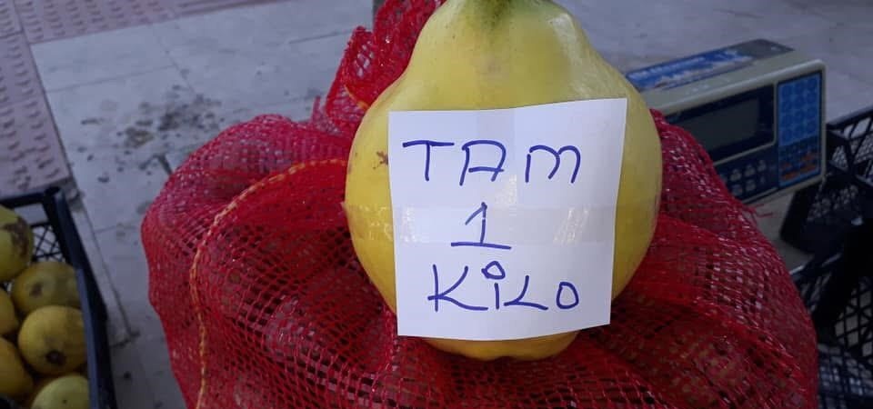 Sarıgöl’de limon ayva üretimi yaygınlaşıyor