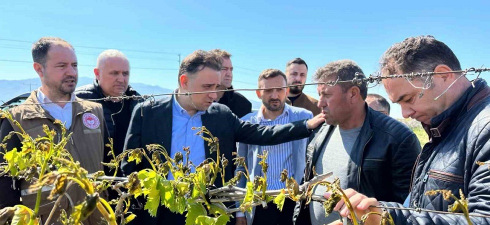 TBMM zirai dondan etkilenen üreticiler için adım attı