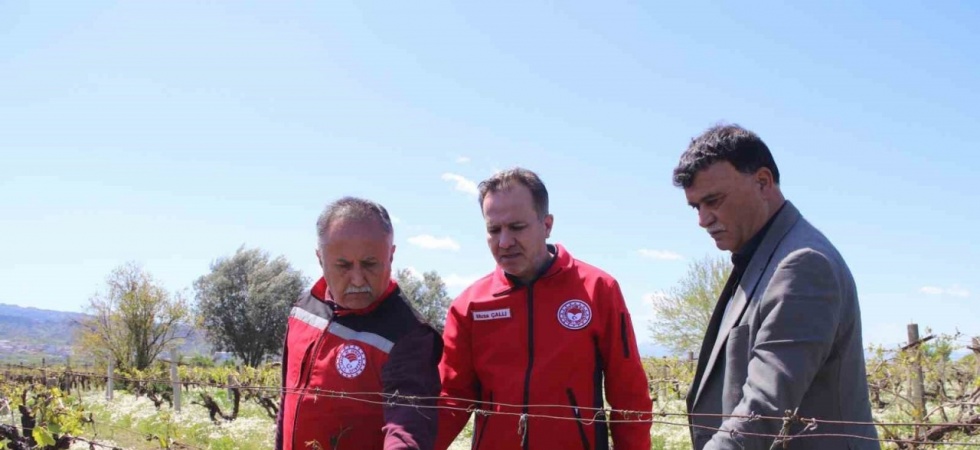 Turgutlu’da yetkililer sahada don vuran arazileri inceledi