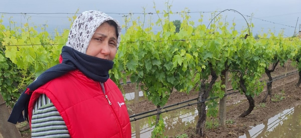 Bahar yağmurları üreticiyi sevindirdi