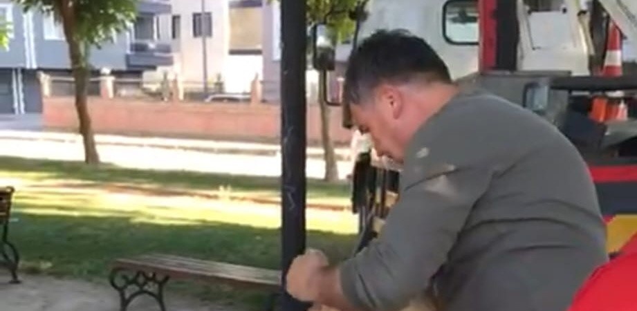 Manisa’da ağaçta mahsur kalan kedi kurtarıldı