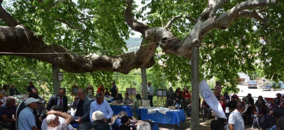 Manisa’da iki bin yıllık tarihi çınarın gölgesinde eserlerini sergilediler
