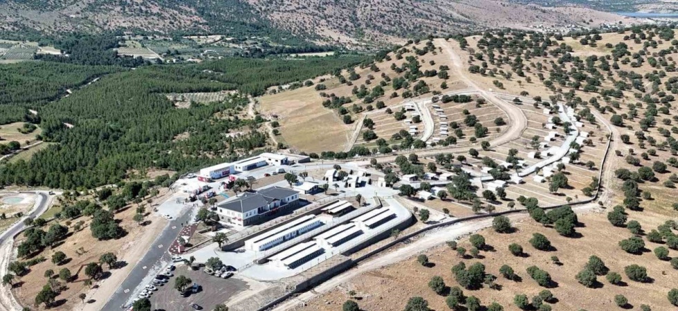 Manisa’da sokak hayvanları için örnek proje hayata geçti