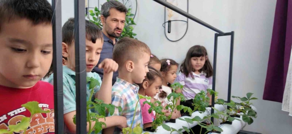 Manisalı minik çiftçiler topraksız tarımla üretim yapıyor