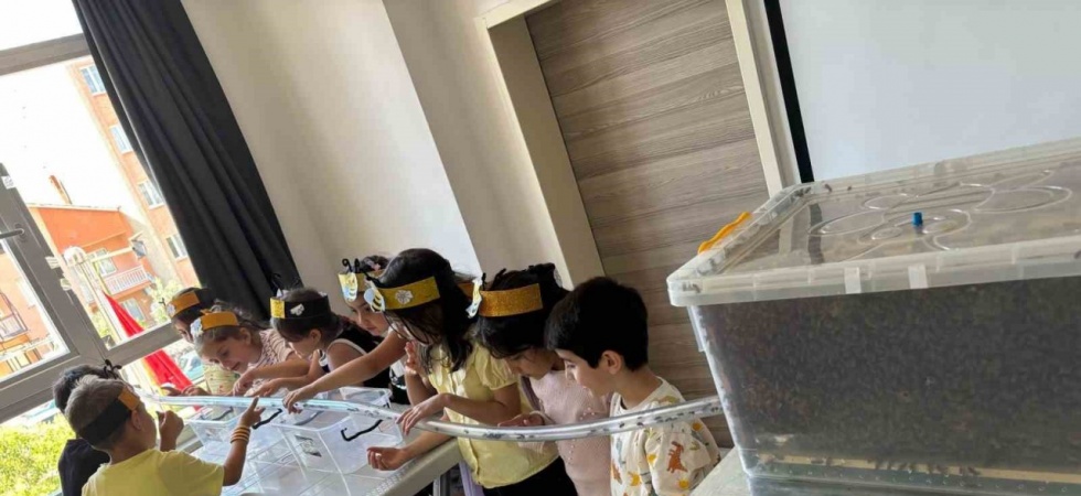 Minikler, arılarla buluştu balın yolculuğunu öğrendi