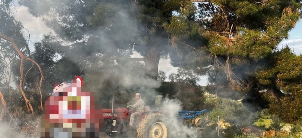 Orman sınırında ateş yakan 2 kişiye para cezası kesildi