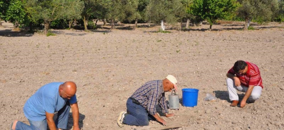 Kırkağaç Kavunu’nda tohumlar toprakla buluştu