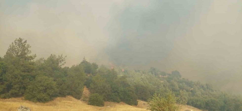 Kula’daki orman yangını için ekipler ve vatandaşlar seferber oldu
