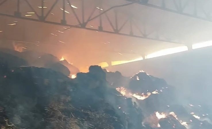 Manisa’da samanlık yangını: Binlerce balya saman kül oldu