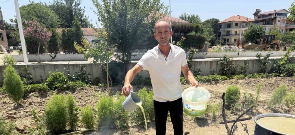 Sarıgöl’de bağlarda kesilen koruklar ekonomiye kazandırılıyor