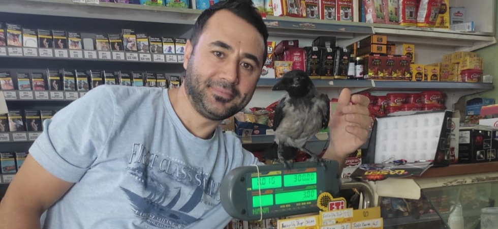 Görenler şaşıp kalıyor! Salihli’de Marketçi ve karganın ilginç dostluğu