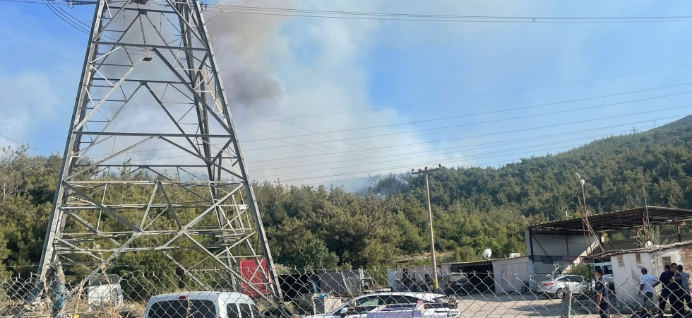 Manisa'daki orman yangını kontrol altına alındı