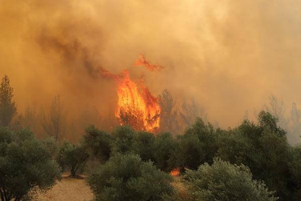 Manisa’nın Saruhanlı İlçesinde meydana gelen orman yangını kontrol altına alındı
