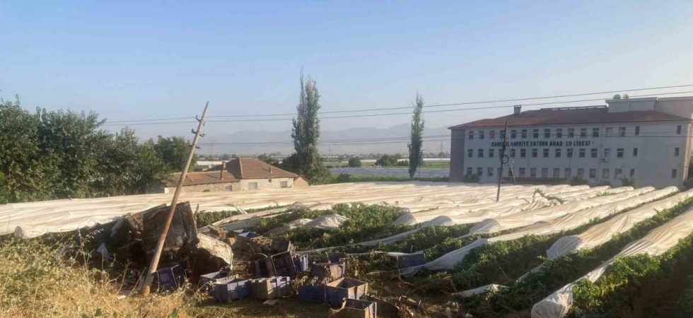 Yoldan çıkıp üzüm bağına uçan tırın şoförü hayatını kaybetti