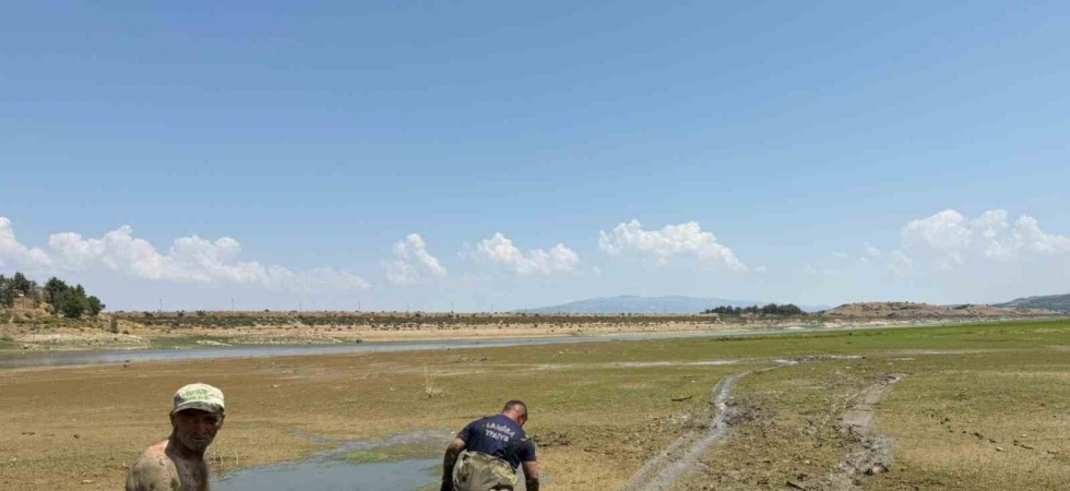 Ekiplerin canhıraş mücadelesi takdir topladı