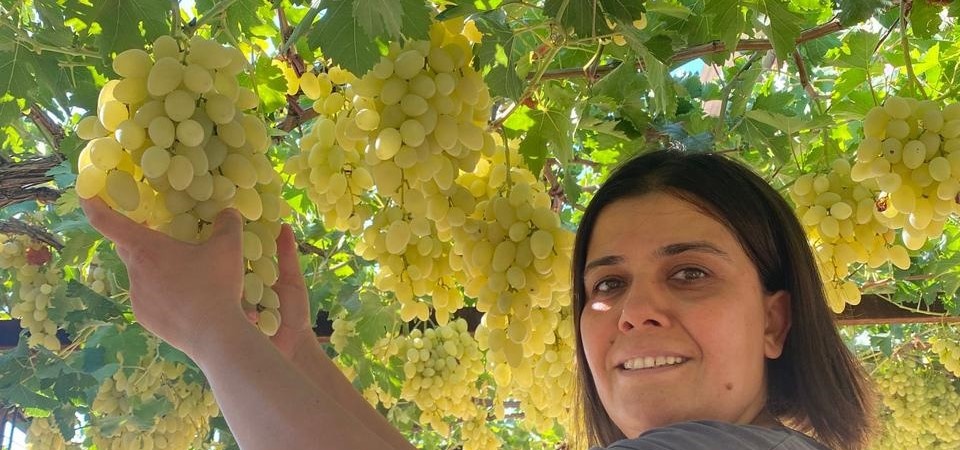 Hem mahallenin muhtarı hem bağın sultanı
