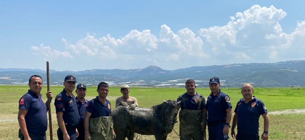 Katırlarını kurtarmak isterken kendisi de battı