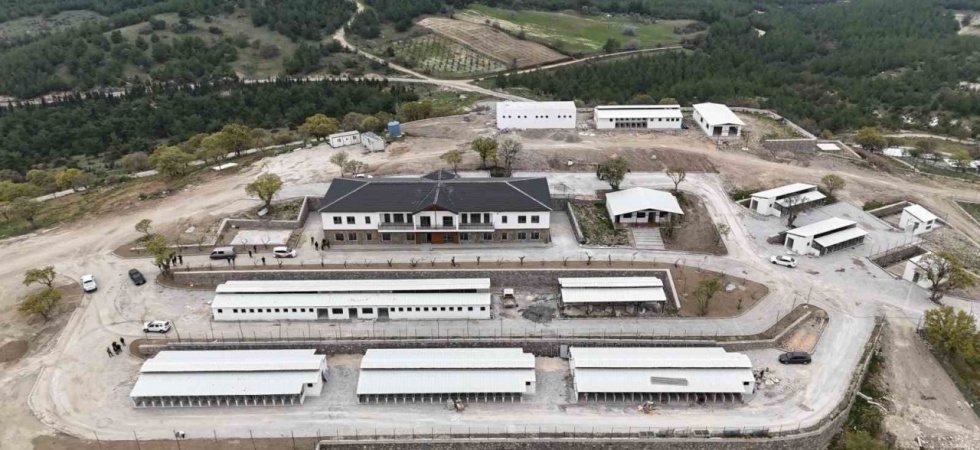 Sokak hayvanları doğal yaşam alanlarına denetim