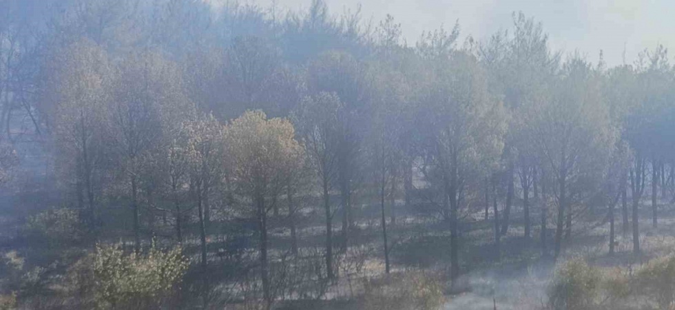 Soma yangınında bir mahalle boşaltındı, bir kişi de gözaltına alındı