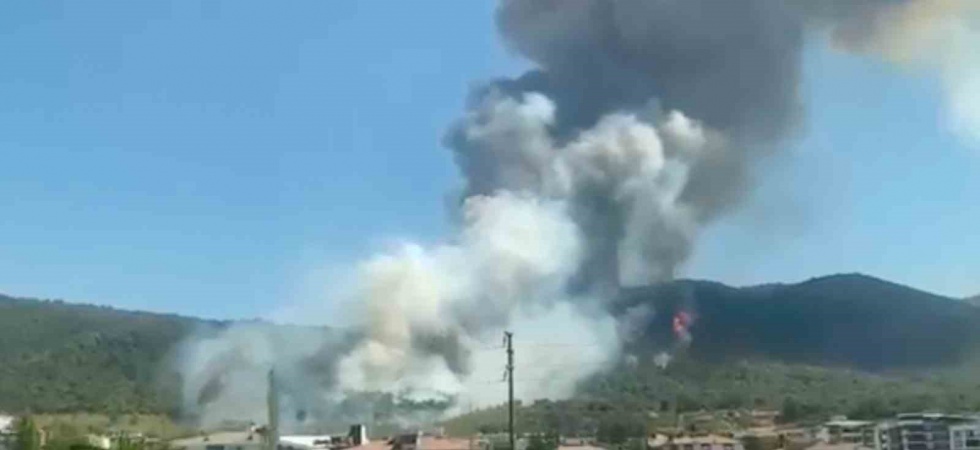 Soma’da orman yangını
