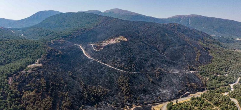 Soma’daki orman yangınında soğutma çalışmaları sürüyor