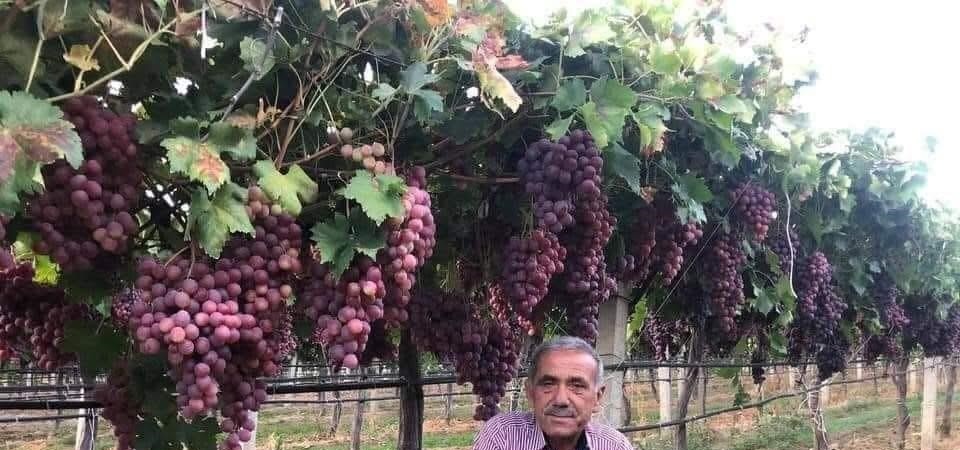 TARİŞ’in açıkladığı üzüm fiyatına tepki