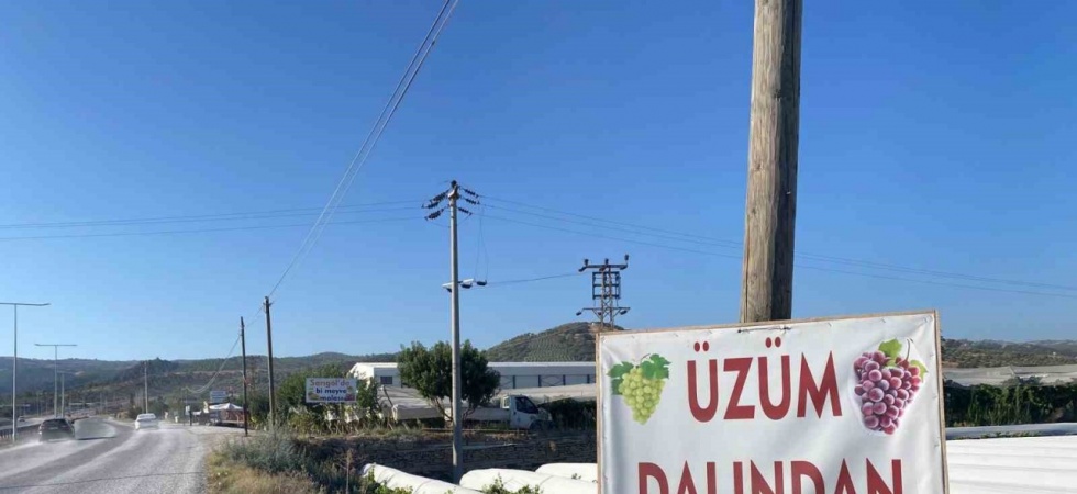 Dalından satışla ekonomiye katkı