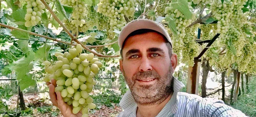 Kaliteli üzüm üretimiyle Sarıgöl’de örnek bağ