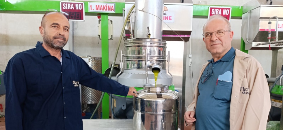 Manisa Köprübaşı'nda zeytinyağı fabrikaları sezonunu açtı
