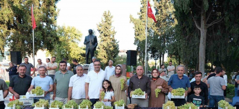 Sarıgöl’de Sultani üzüm yarışması