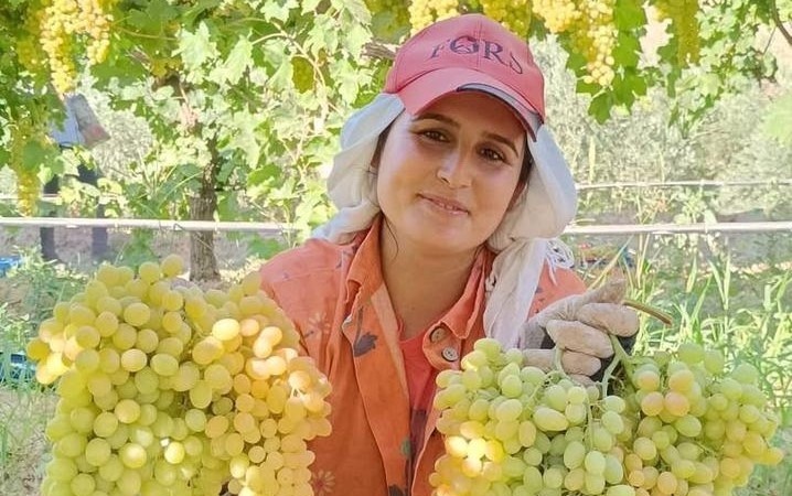 Üzüm yiyin, hastalıklardan korunun