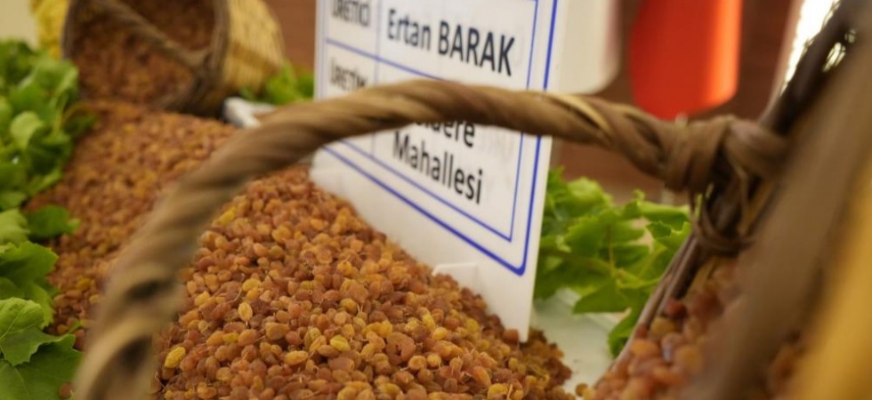 Manisa’nın 9 aylık tarım ihracatı 706,7 milyon dolara ulaştı