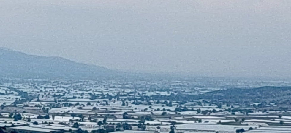 Sarıgöl’de üzüm üretici ihracatın hız kazanmasını bekliyor