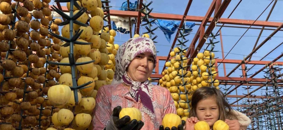 Alaşehir’de ilk kez ’Cennet Hurması Festivali’ düzenlenecek