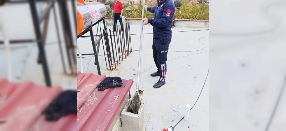 Bacaya Sıkışan Kediyi İtfaiye Kurtardı