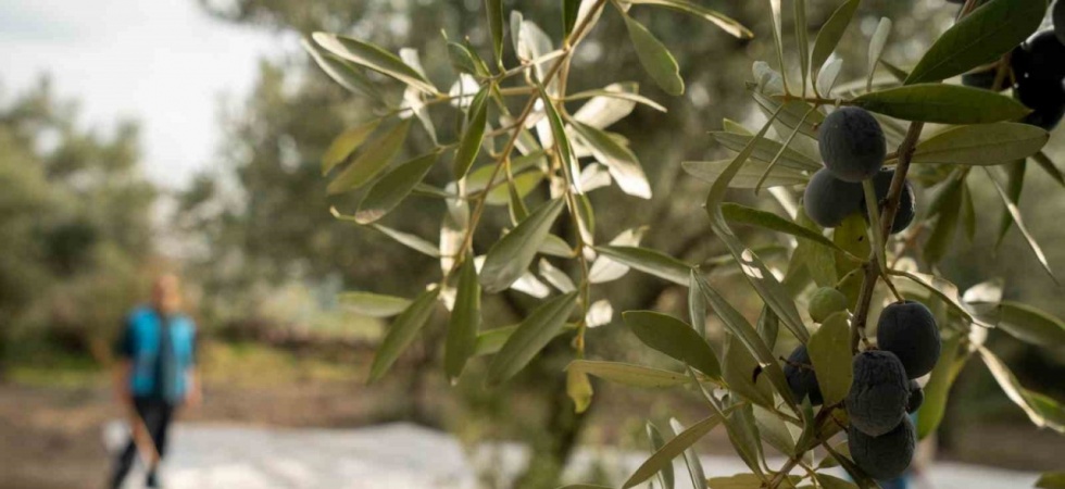 Denetimli Serbestlik Yükümlülerine Anlamlı Görev