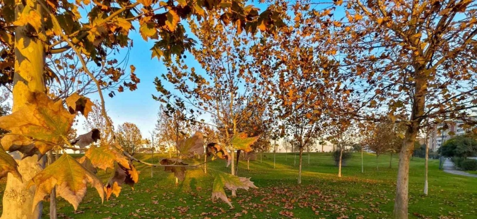 Güzelyurt sonbahar renklerine büründü