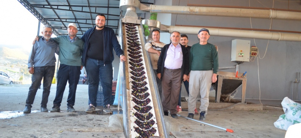 İlçenin Tek Zeytinyağı Fabrikası Sezona Hızlı Bir Giriş Yaptı